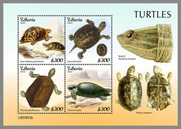 LIBERIA 2023 MNH Turtles Schildkröten M/S – OFFICIAL ISSUE – DHQ2421 - Turtles