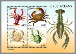 LIBERIA 2023 MNH Crustaceans Krebstiere M/S – OFFICIAL ISSUE – DHQ2421 - Schaaldieren