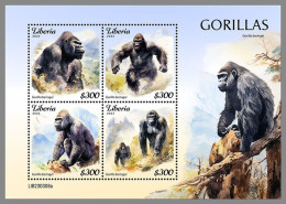 LIBERIA 2023 MNH Gorillas M/S – OFFICIAL ISSUE – DHQ2421 - Gorilles