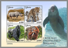 LIBERIA 2023 MNH Endangered Mammals Rhino Nashorn M/S – OFFICIAL ISSUE – DHQ2421 - Rhinocéros