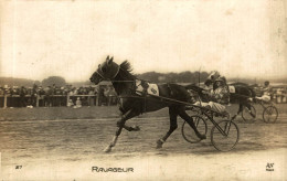 CHEVAL DE COURSE RAVAGEUR TROT ATTELE - Horse Show