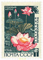 713362 MNH UNION SOVIETICA 1966 125 ANIVERSARIO DEL JARDIN BOTANICO SUCHUMI - ...-1857 Préphilatélie