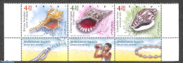 Israel 2022 Shells 3v [::], Mint NH, Nature - Shells & Crustaceans - Neufs