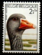 BELGIQUE.     -     OIE     -    Neuf **.  Luxe - Geese