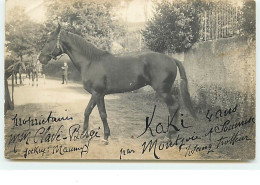 Carte-Photo - Cheval - Kaki 4 Ans Par Montjoie Et Soumise - Propriétaires MM Clavé-Bergé - Jockey Maumy - Trotteur - Horse Show