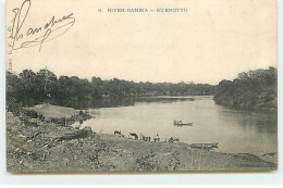 Gambie - River-Gambia - Guenotto - Gambia