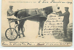 Sports - Hippisme - Supplément à La France Chevaline N°3 1910 - Bouquet Parfait, Bai-brun ... - Sulky - Horse Show