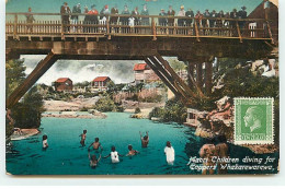 Nouvelle-Zélande - Maori Children Diving For Coppers Whakarewarewa - New Zealand