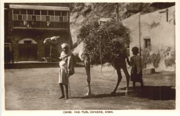 Aden - Camel And Fuel Owners - Yemen