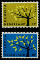 NIEDERLANDE 1962 Nr 782-783 Postfrisch SA1DE02 - Unused Stamps