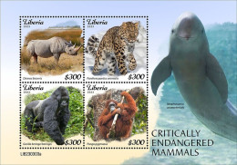 Liberia 2023, Animals In Danger, Rhino, Leopard, Gorilla, Dolphin, 4val In BF - Gorilla