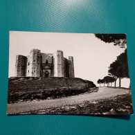 Cartolina Andria - Castel Del Monte. Viaggiata - Barletta
