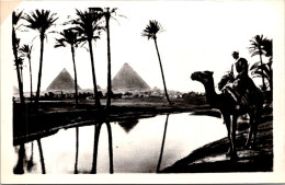 26-5-2024 (6 Z 12) Bw - Older - Egypt - Cairo Pyramid (2 Postcards) - Pyramiden