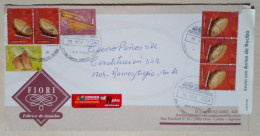 Argentine - Enveloppe Circulée Avec Timbres Sur Le Thème De La Culture (2004) - Used Stamps