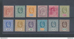 1903-05 Ceylon - Stanley Gibbons N. 265/76 - Watermark Crown CA - 12 Valori - MNH** - Other & Unclassified