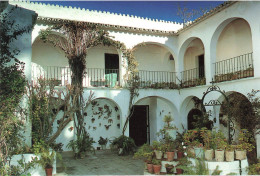 ESPAGNE - Cadiz - Vejer De La Fontera - Carte Postale - Cádiz