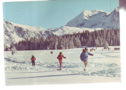 ALPES - SKI DE FOND - ANIMÉE - 19820 - Rhône-Alpes