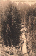 ALLEMAGNE - Triberg - Schwarzwald - Der Wasserfall - Vue D'ensemble - Forêt - Carte Postale Ancienne - Triberg
