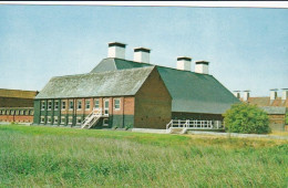 Maltings Concert Hall, Snape, Aldeburgh, Suffolk- Unused Postcard - SUF3 - Other & Unclassified