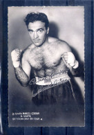 Marcel Cerdan. Cpsm Petit Format - Boxsport