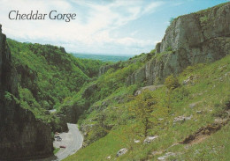 Cheddar Gorge - Somerset - Unused Postcard - SOM1 - Wells