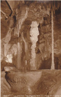 Speakers Mace, Cheddar Gorge Caves - Somerset - Unused Postcard - SOM1 - Cheddar