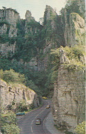 Cheddar Gorge  - Somerset - Unused Postcard - SOM1 - Cheddar