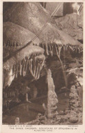 Aladdins Cave, Cheddar Gorge  - Somerset - Unused Postcard - SOM1 - Cheddar