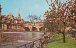 Pulteney Bridge Bath - Somerset - Unused Postcard - SOM1 - Cheddar