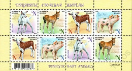 2024 1563 Belarus Children Philately - Domestic Baby Animals MNH - Bielorussia