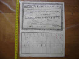 1938 COOPERATIVE PAYSANNE De La COTE D'OR BLE 20 Coupons Sur 20 Certificat - Sonstige & Ohne Zuordnung