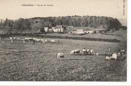 CHAROLLES  -  Ferme De Brèche - Charolles