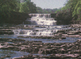 Aygarth Falls Wensleydale - Yorkshire - Unused Postcard - YO3 - Other & Unclassified