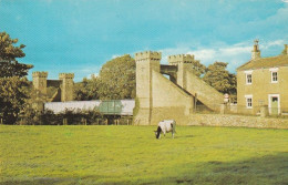 The Bridge, Leyburn - Yorkshire - Unused Postcard - YO3 - Sonstige & Ohne Zuordnung