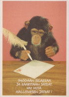 AFFE Tier Vintage Ansichtskarte Postkarte CPSM #PBS006.DE - Singes