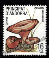 Andorre Espagnole / Spanish Andorra 1983 Yv, 160, Flora, Mushrooms - MNH - Unused Stamps