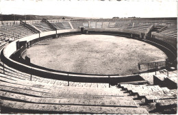 FR66 CERET - Cap 5 - Les Arènes - Belle - Ceret