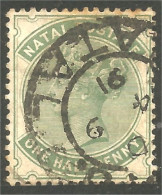 XW03-0038 Natal Reine Queen Victoria Half Penny Vert Green - Natal (1857-1909)