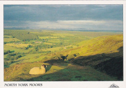 North Yorkshire Moors - Scotland -  Unused   Postcard  - G32 - Other & Unclassified