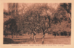 93 Villepinte Sanatorium Division Sainte Marie Pour Les Jeunes Filles , Le Verger CPA - Villepinte