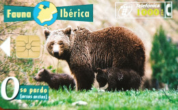 Scheda Telefonica Fauna Ibèrica Oso Pardo (ursus Arctos) (Spagna) - Other - Europe