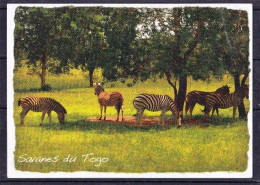 Togo, Savanes Du Togo.Les Zebres De La Rèserve Naturelle De Sarakawa. Standard Size, New, Back Divided. - Zebras