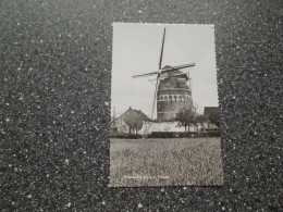 GRONSVELD: Molen - Andere & Zonder Classificatie