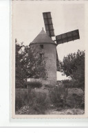 DAMGAN-KERVOYAL - Le Moulin Et Ses Pommiers - Très Bon état - Damgan