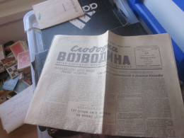 Slobodna Vojvodina 1951 - Skandinavische Sprachen