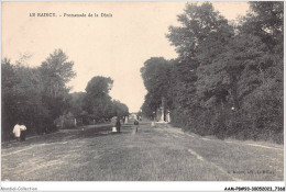 AAMP8-93-0689 - LE RAINCY - Promenade De La Dhuis - Le Raincy