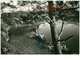 29.LANDEVENNEC.n°22255.LES BATEAUX DE GUERRE AU REPOS DANS L'ANSE DE PENFORN.CPSM. - Landévennec