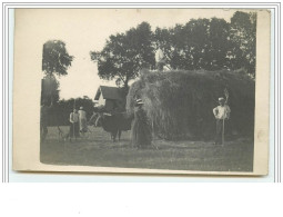 Carte-Photo - Ramassage Des Foins - Attelage - Cultivation