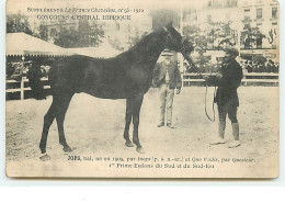 Concours Central Hippique - Jops, Bai, Né En 1909 - 1er Prime Etalons Du Sud Et Du Sud-Est - Hípica