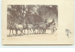 KOKSTAD - RPPC - Homme Dans Une Carriole Tirée Par Des Chevaux - Afrique Du Sud